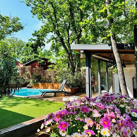 Pine-Wood Resort Balatonalmadi Exterior photo